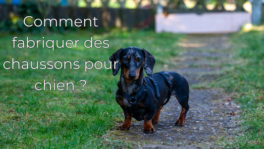 Comment fabriquer des chaussons pour chien ?